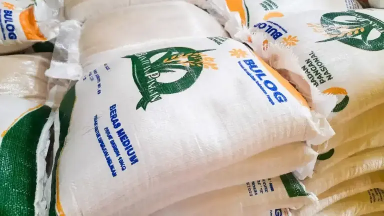 Bansos Beras 2026 Resmi Cair Simak Syarat dan Cara Cek Penerima Terbaru